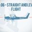 EX 06 Straight and Level Flight