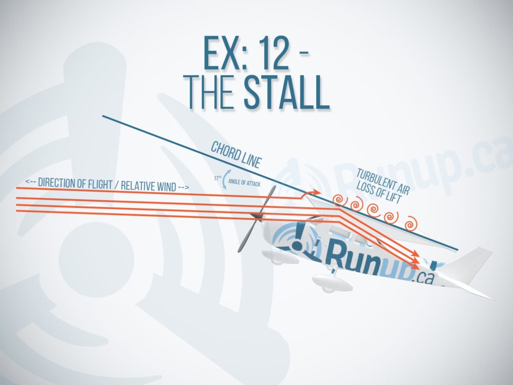 Exercise 12 Stall Canada