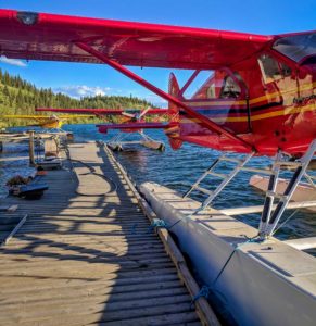Floatplanes01 Floatplanes lined up at the dock in Whitehorse