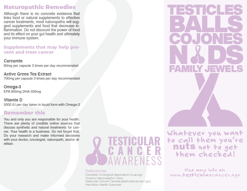 testicular-cancer-broshure testicular cancer awareness for pilots