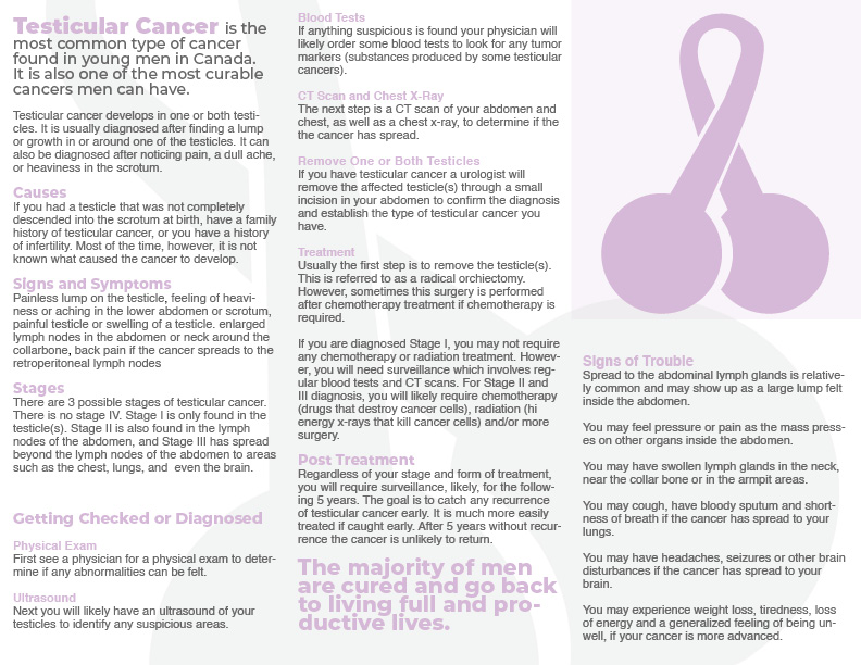 testicular-cancer-broshure2 pilot with cancer