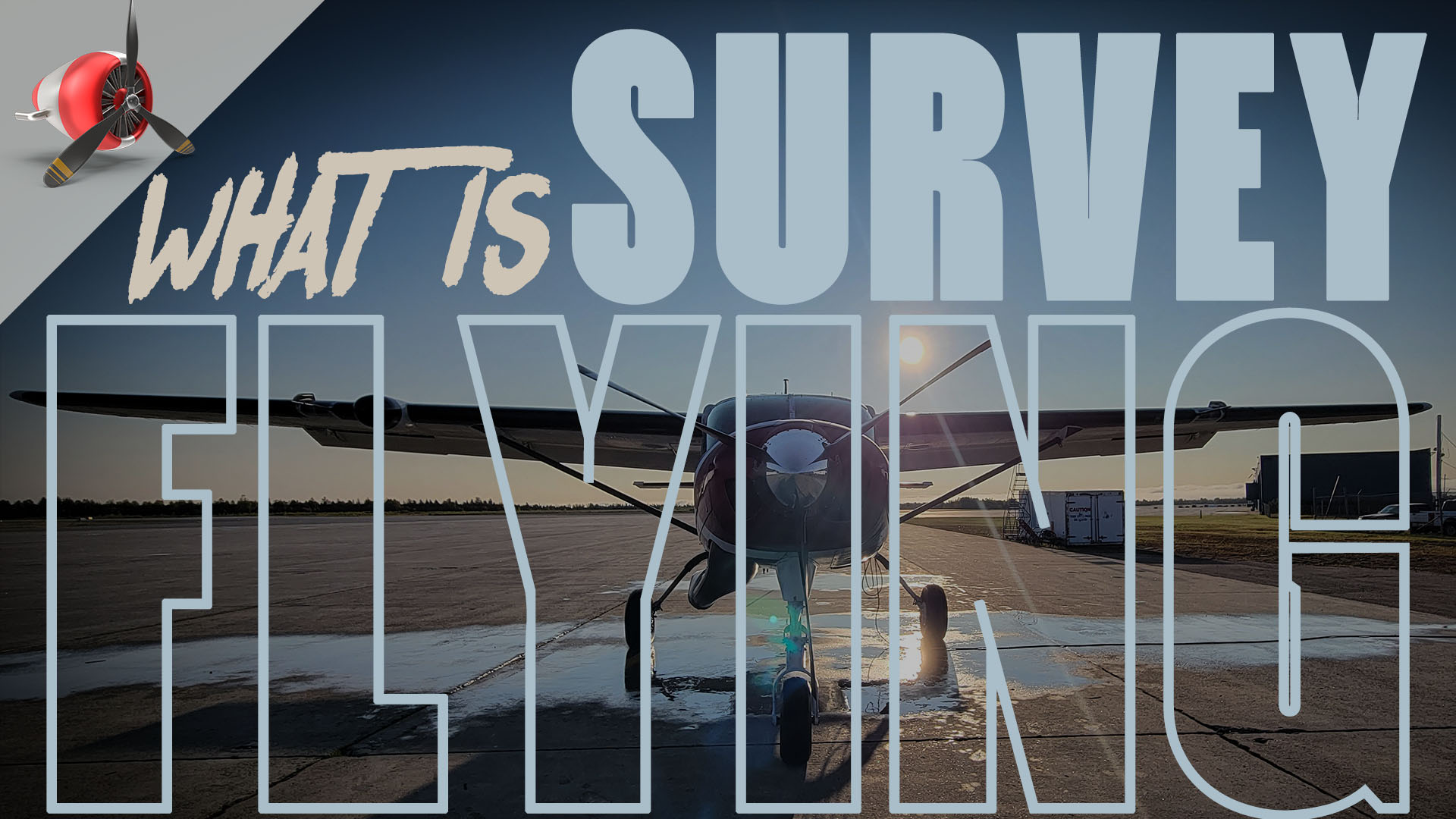 What is survey flying